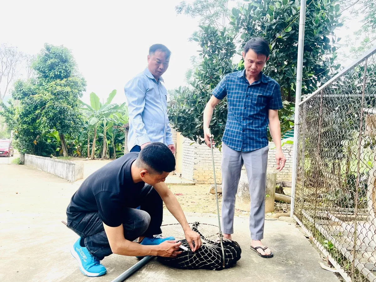 Nghệ An: Nhanh ch&oacute;ng r&agrave; so&aacute;t người phơi nhiễm sau khi ph&aacute;t hiện ch&oacute; dại cắn li&ecirc;n tiếp 5 người d&acirc;n - Ảnh 2.