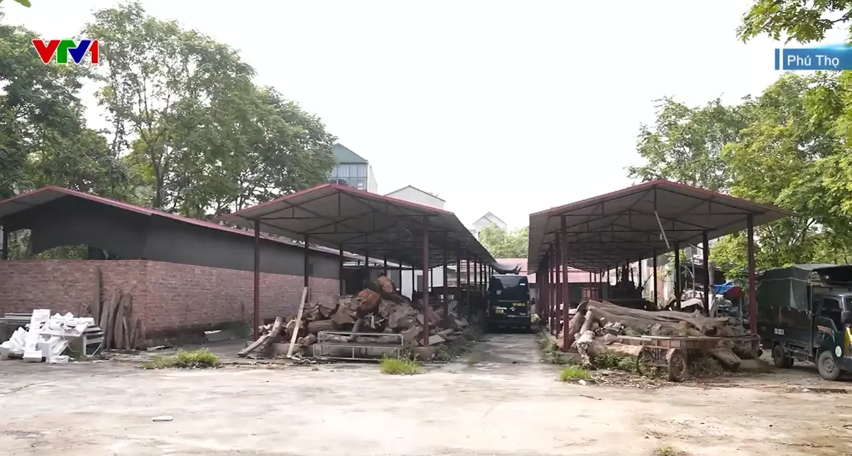 Nhiều chợ xây xong bỏ hoang, biến thành nơi chứa đồ phế thải, nuôi nhốt động vật - Ảnh 2.