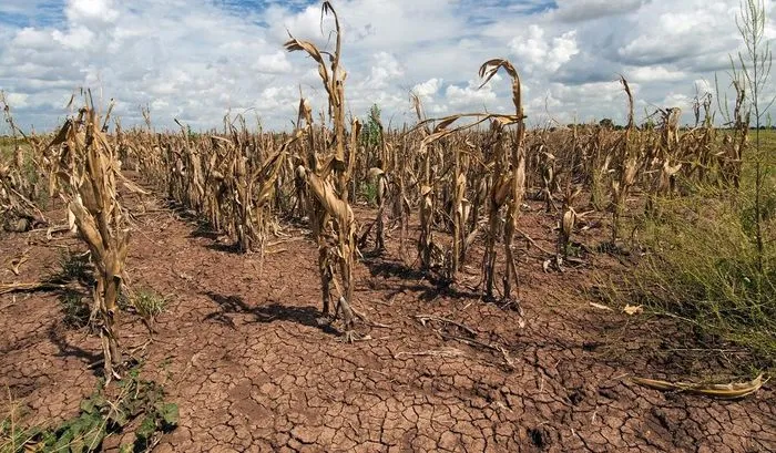 Cảnh b&aacute;o t&aacute;c động của El Nino đến thời tiết Việt Nam - Ảnh 1.