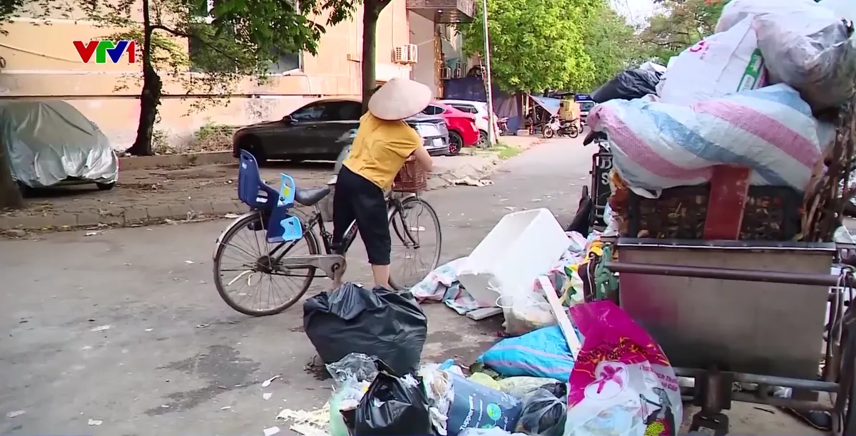 Đồng loạt hành động vì môi trường trên cả nước - Ảnh 2.