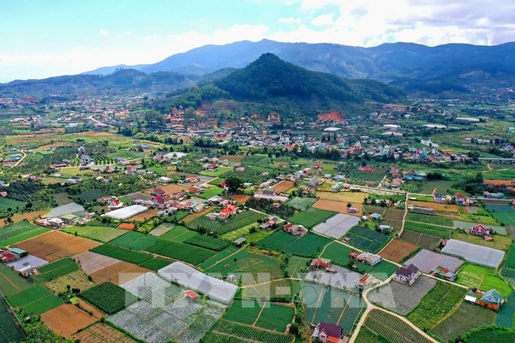 Lâm Đồng: Quy hoạch 6 hành lang kinh tế và 7 vùng kinh tế chuyên biệt
- Ảnh 1. Lâm Đồng: Quy hoạch 6 hành lang kinh tế và 7 vùng kinh tế chuyên biệt
- Ảnh 1.