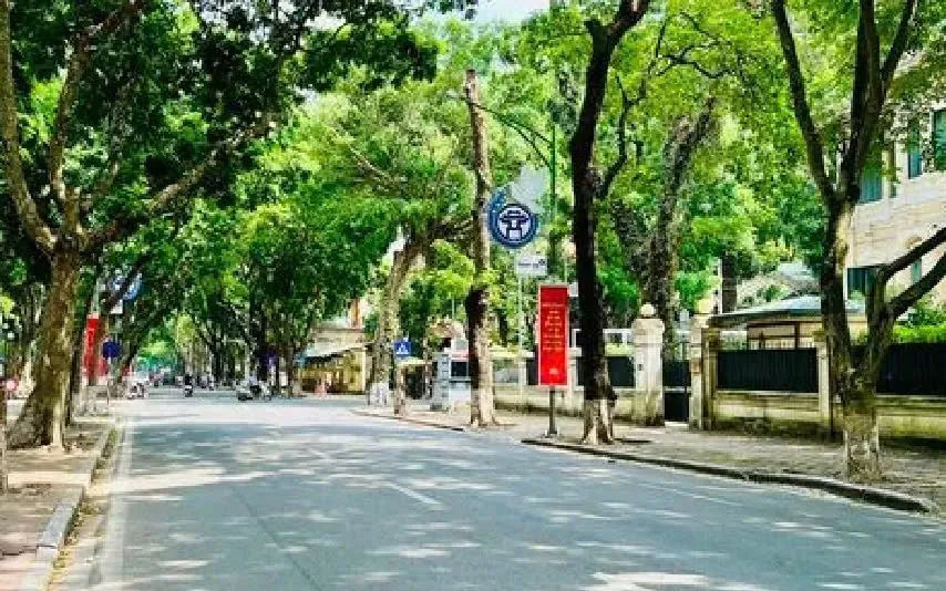Nhiều cây xanh trên các tuyến phố được tỉa gọn và trồng mới.