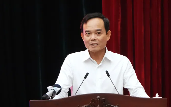 TP Hồ Chí Minh sẽ cấp học bổng, hỗ trợ nhà ở để thu hút người tài - Ảnh 3.