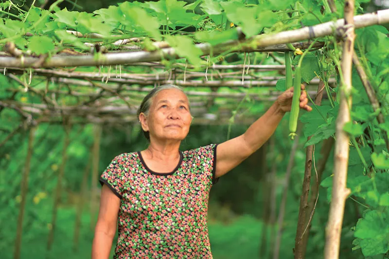 Xây dựng hệ sinh thái "kinh tế bạc": Khơi thông nguồn lực từ người cao tuổi- Ảnh 1. Xây dựng hệ sinh thái "kinh tế bạc": Khơi thông nguồn lực từ người cao tuổi- Ảnh 1.