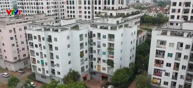 Giá thuê rẻ hơn 3 - 4 lần, nhà ở xã hội cho thuê hút người dân - Ảnh 1.