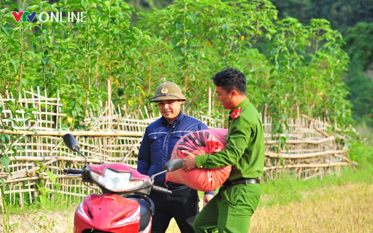 Sức trẻ và sự nhiệt huyết của lực lượng công an trẻ như tiếp thêm sức mạnh cho bà con, giúp những bao thóc nặng trĩu nhanh chóng được đưa về nhà.