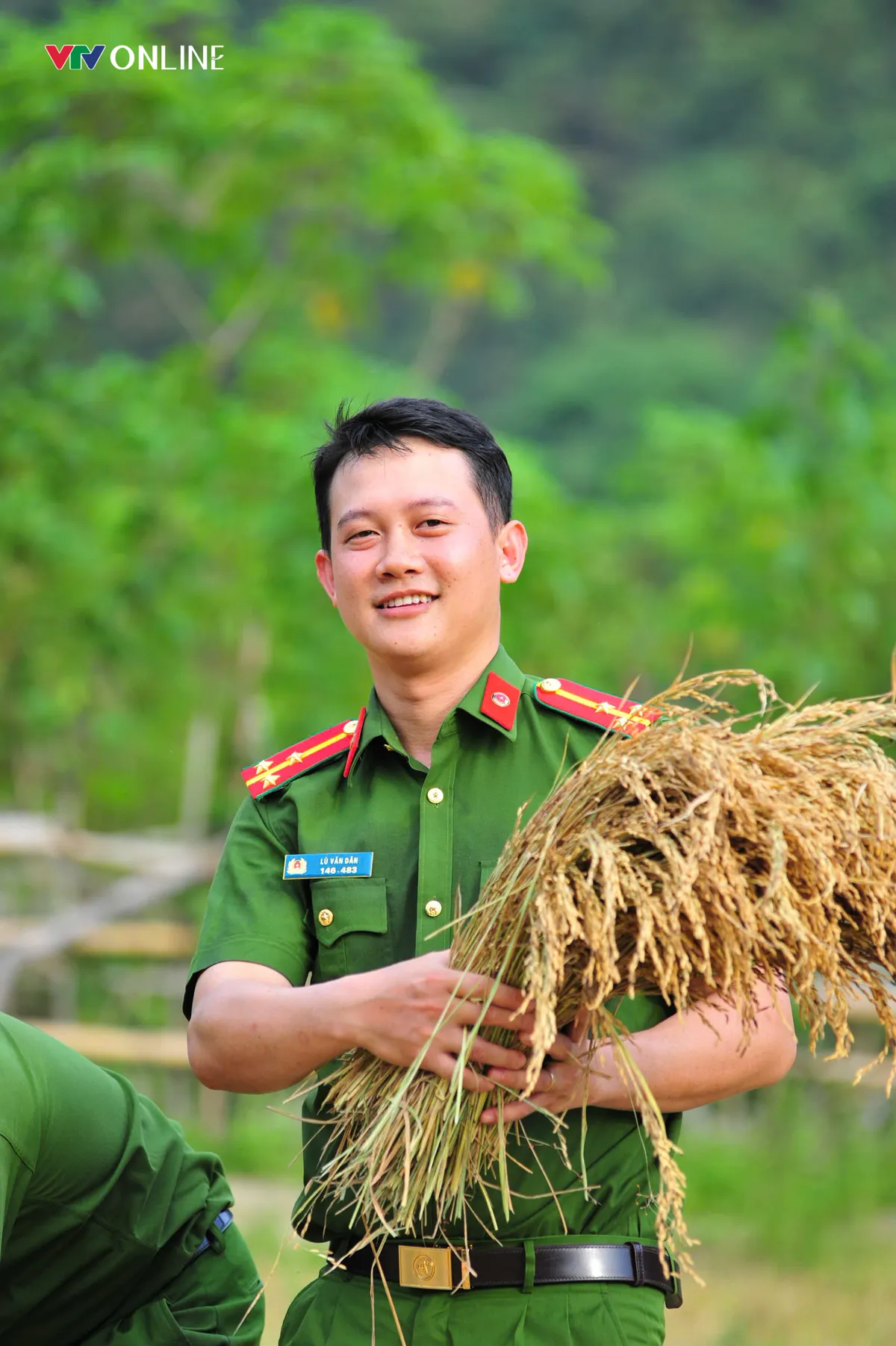 Cùng nhân dân vùng cao thu hoạch 'mùa vàng' - Ảnh 4.
