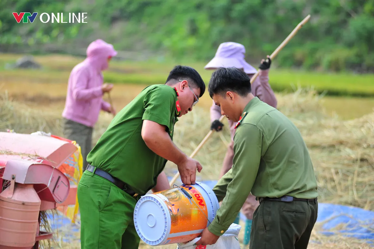 Cùng nhân dân vùng cao thu hoạch 'mùa vàng' - Ảnh 6.