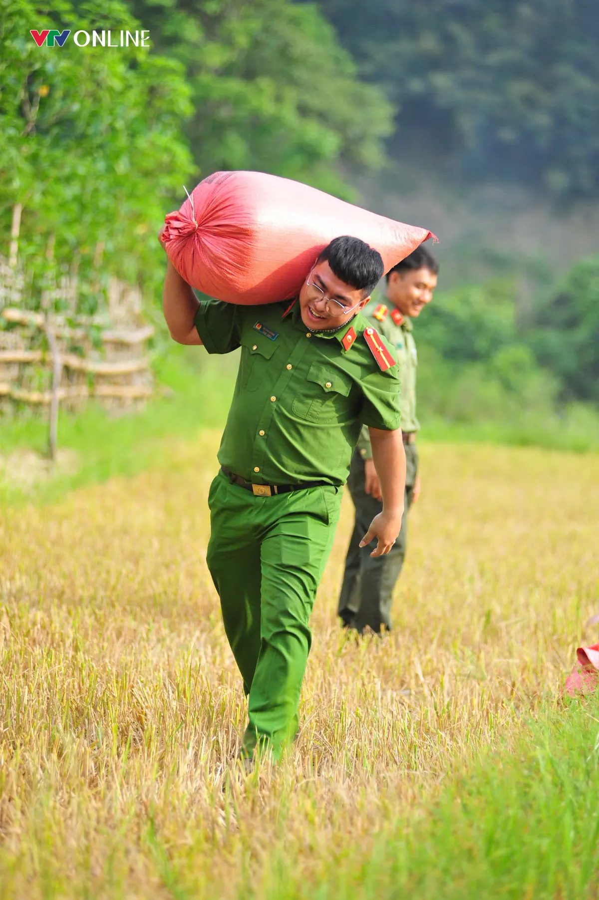 Cùng nhân dân vùng cao thu hoạch 'mùa vàng' - Ảnh 9.