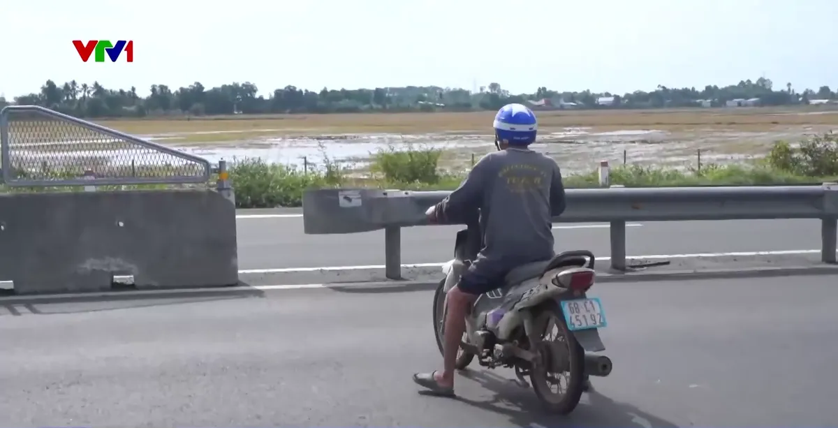 Xử lý tình trạng xe máy đi vào tuyến Lộ Tẻ - Rạch Sỏi - Ảnh 1.