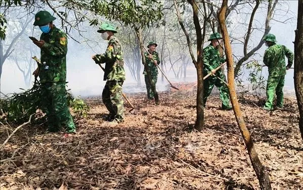Lực lượng chức năng triển khai biện pháp khoanh vùng, khống chế đám cháy xảy ra tại khu vực rừng phòng hộ thuộc Tiểu khu 794, thuộc địa bàn thôn Phương An, xã Triệu Cơ (Quảng Trị). Ảnh: TTXVN 

