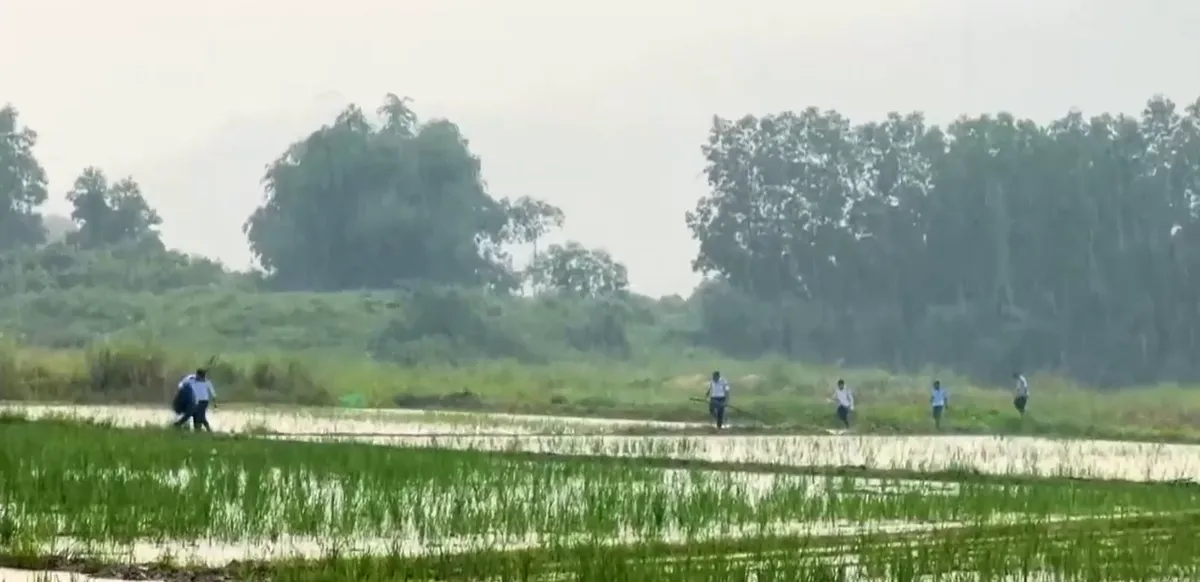 Nạn săn bắt chim yến tại Kh&aacute;nh H&ograve;a - Đ&acirc;u l&agrave; giải ph&aacute;p?- Ảnh 1.