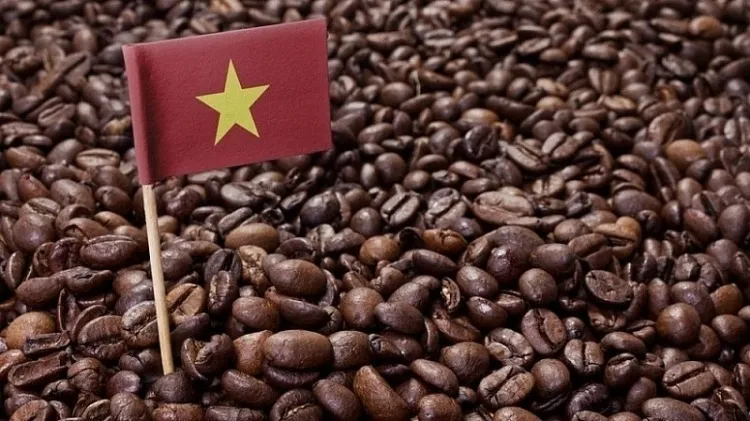 Bản tin nông sản hôm nay (7-6): Giá cà phê tiếp tục giả- Ảnh 1. Bản tin nông sản hôm nay (7-6): Giá cà phê tiếp tục giả- Ảnh 1.