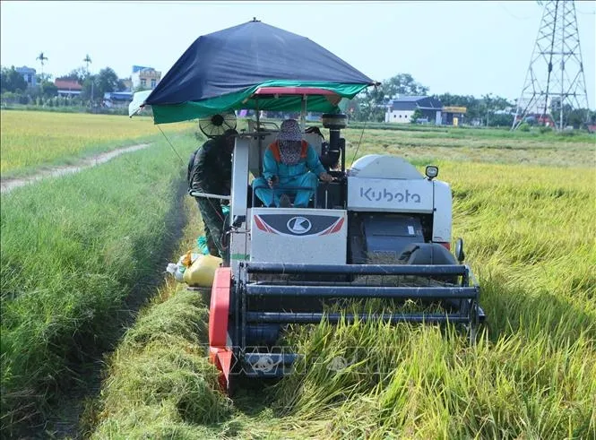 Nông dân nâng tầm, nông nghiệp nâng chất- Ảnh 1. Nông dân nâng tầm, nông nghiệp nâng chất- Ảnh 1.