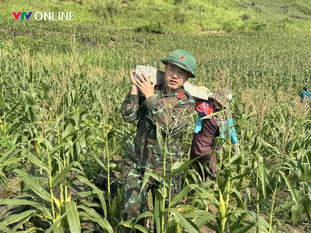 Tuyên Quang: Khi nghị quyết bén rễ trên đất đá- Ảnh 3. Tuyên Quang: Khi nghị quyết bén rễ trên đất đá- Ảnh 3.