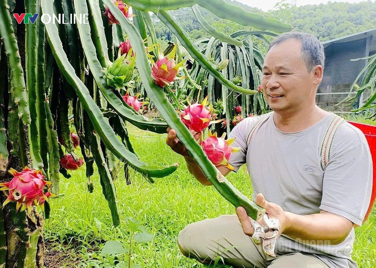 Tuyên Quang: Khi nghị quyết bén rễ trên đất đá- Ảnh 4. Tuyên Quang: Khi nghị quyết bén rễ trên đất đá- Ảnh 4.