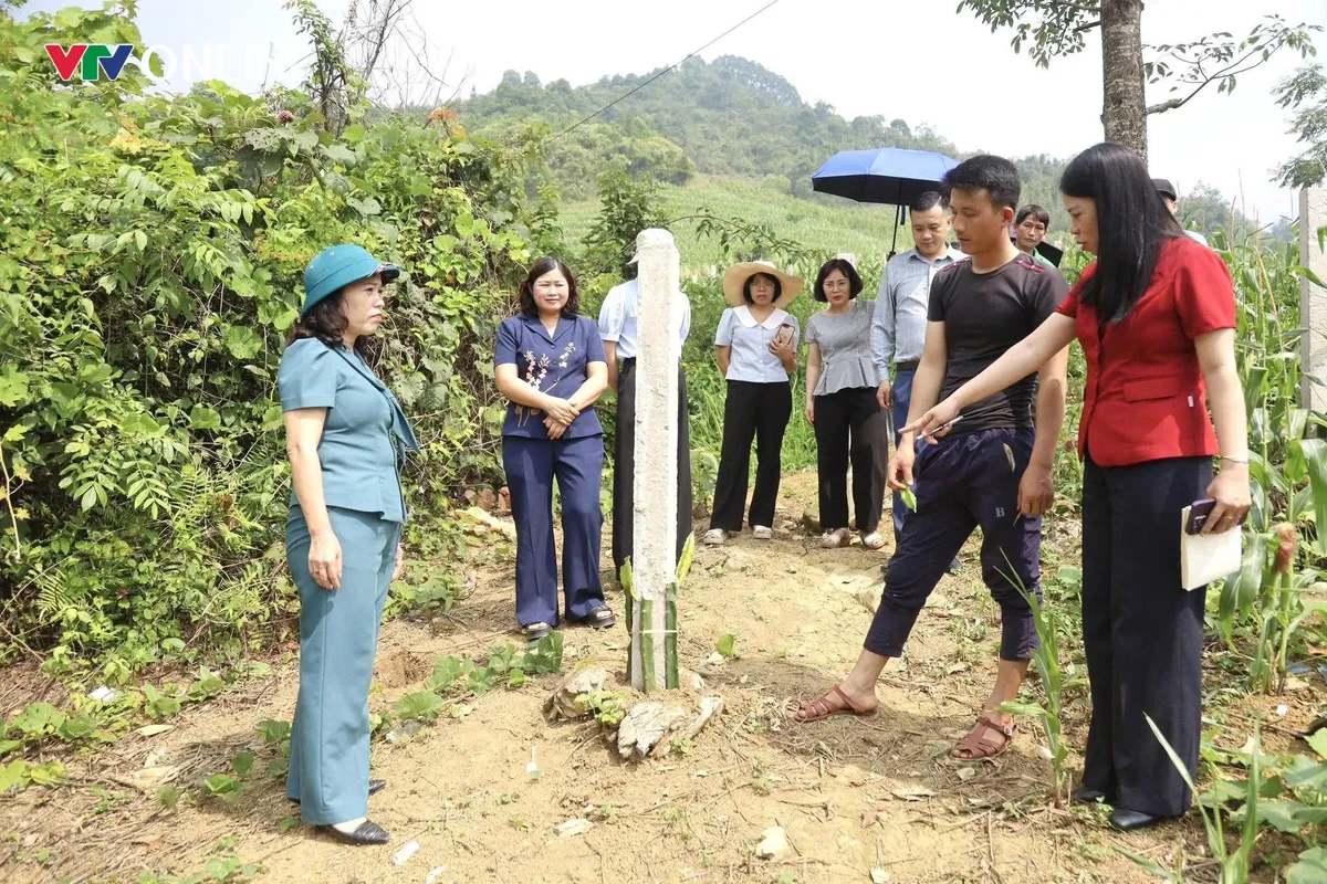 Tuyên Quang: Khi nghị quyết bén rễ trên đất đá- Ảnh 6. Tuyên Quang: Khi nghị quyết bén rễ trên đất đá- Ảnh 6.