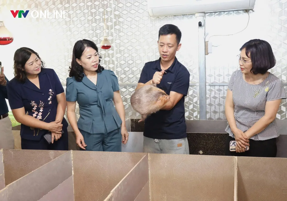 Tuyên Quang: Khi nghị quyết bén rễ trên đất đá- Ảnh 5. Tuyên Quang: Khi nghị quyết bén rễ trên đất đá- Ảnh 5.