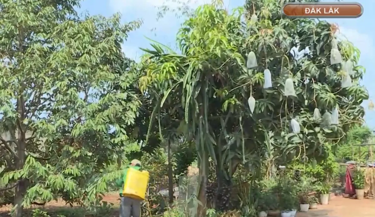 Tái hòa nhập cộng đồng: Mở lối hoàn lương cho người từng lầm lỡ- Ảnh 1. Tái hòa nhập cộng đồng: Mở lối hoàn lương cho người từng lầm lỡ- Ảnh 1.