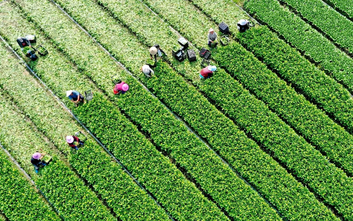 Đặt mục tiêu có 5.000 doanh nghiệp nông nghiệp vào năm 2030