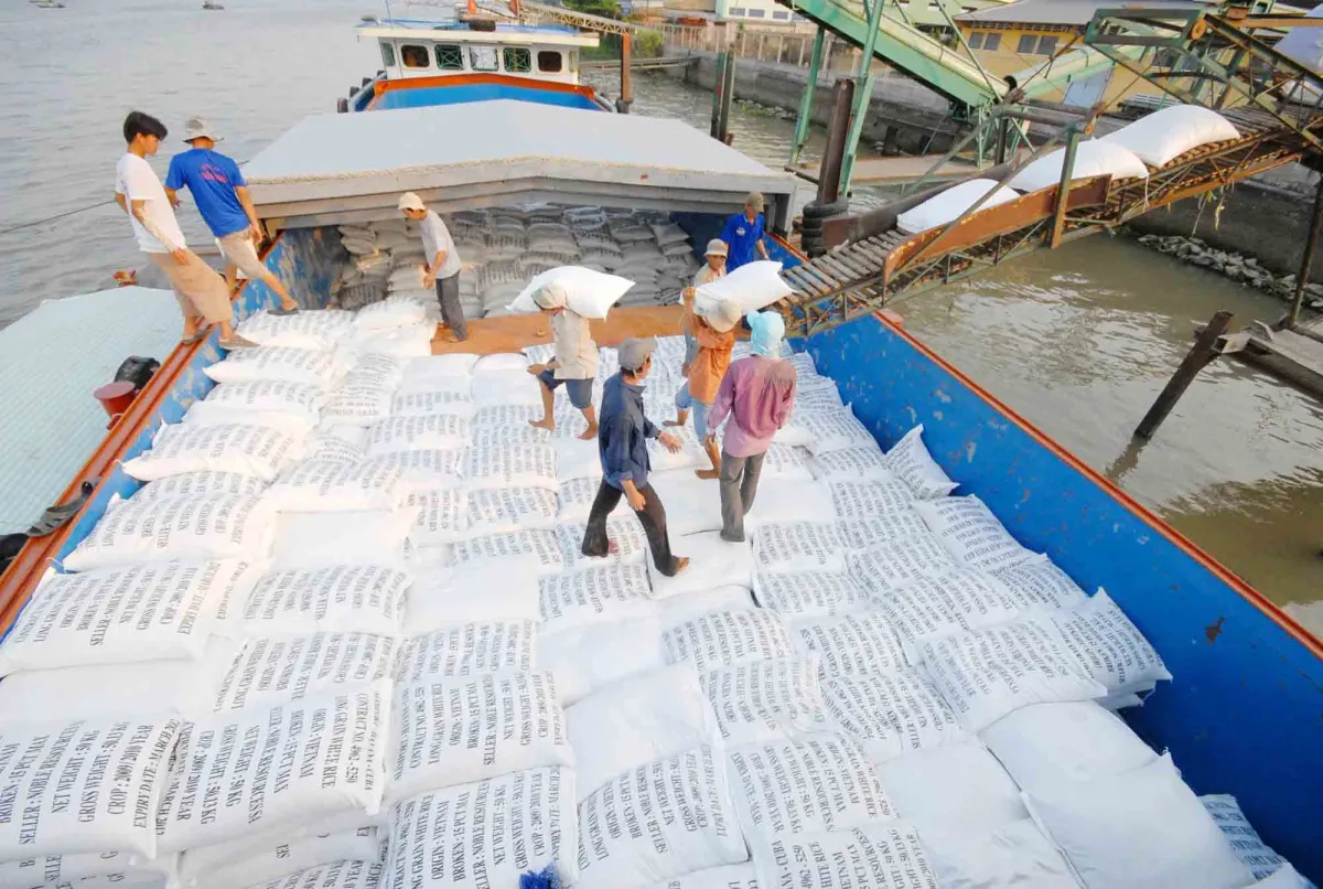 Giá gạo xuất khẩu Việt Nam biến động nhẹ giữa lo ngại El Nino, Philippines tiếp tục dẫn đầu nhập khẩu- Ảnh 1. Giá gạo xuất khẩu Việt Nam biến động nhẹ giữa lo ngại El Nino, Philippines tiếp tục dẫn đầu nhập khẩu- Ảnh 1.