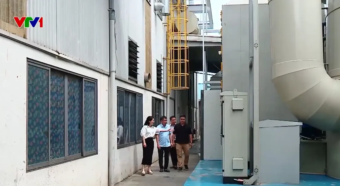 Phú Thọ: Thanh long héo, ong nuôi chết dần, người dân lo ngại do mùi khí thải từ nhà máy phun sơn - Ảnh 3.