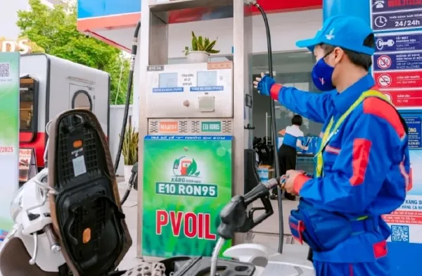 Bảo đảm nguồn cung xăng sinh học E5, E10 sau khi xăng truyền thống ngừng lưu h&agrave;nh- Ảnh 1.