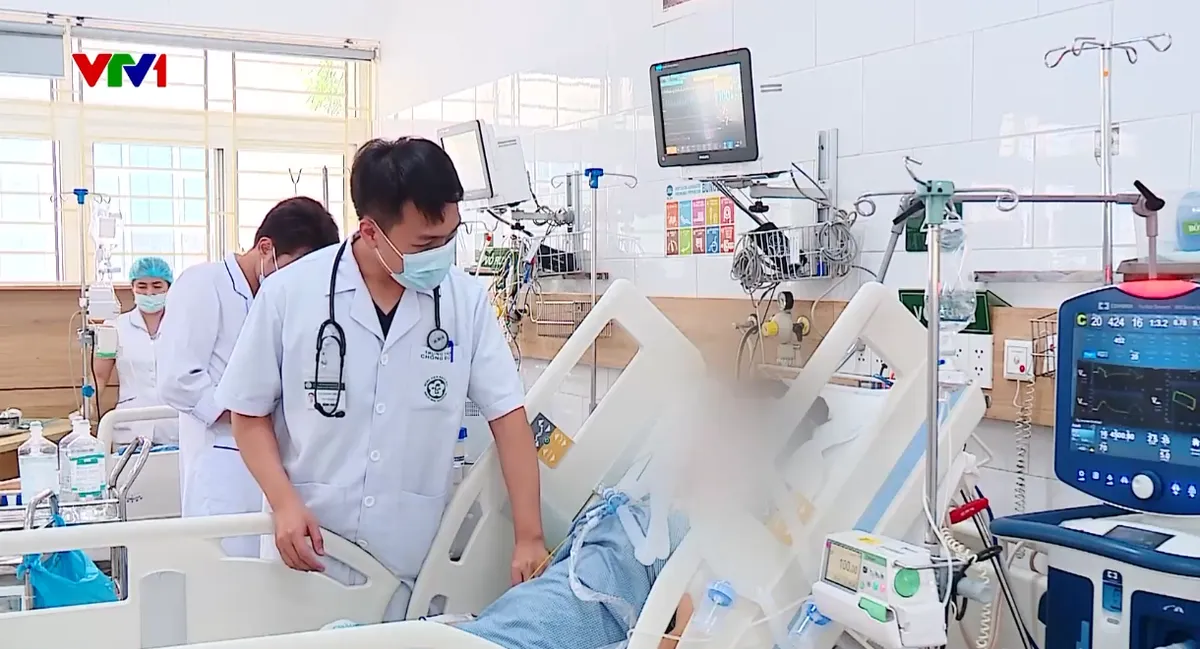 Nhiều trường hợp nguy kịch do bị rắn độc cắn - Ảnh 2.