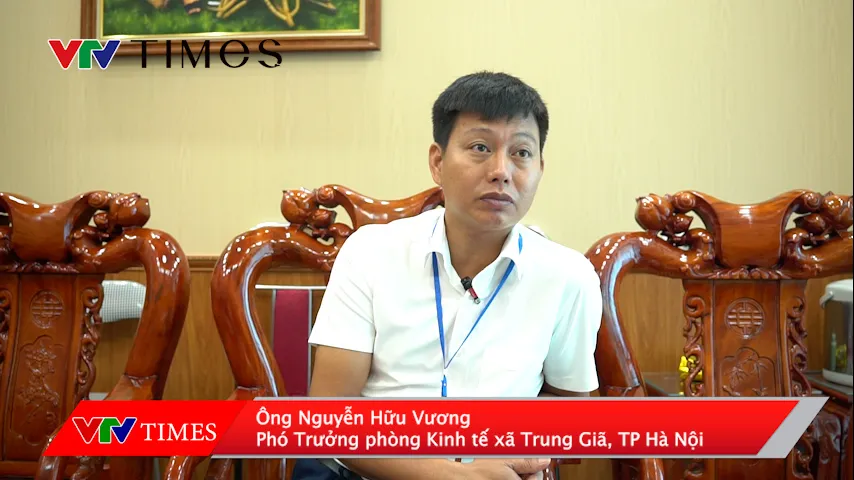 Nh&agrave; xưởng tr&aacute;i ph&eacute;p bị xử phạt vẫn ngang nhi&ecirc;n hoạt động tại x&atilde; Trung Gi&atilde; - Ảnh 4.