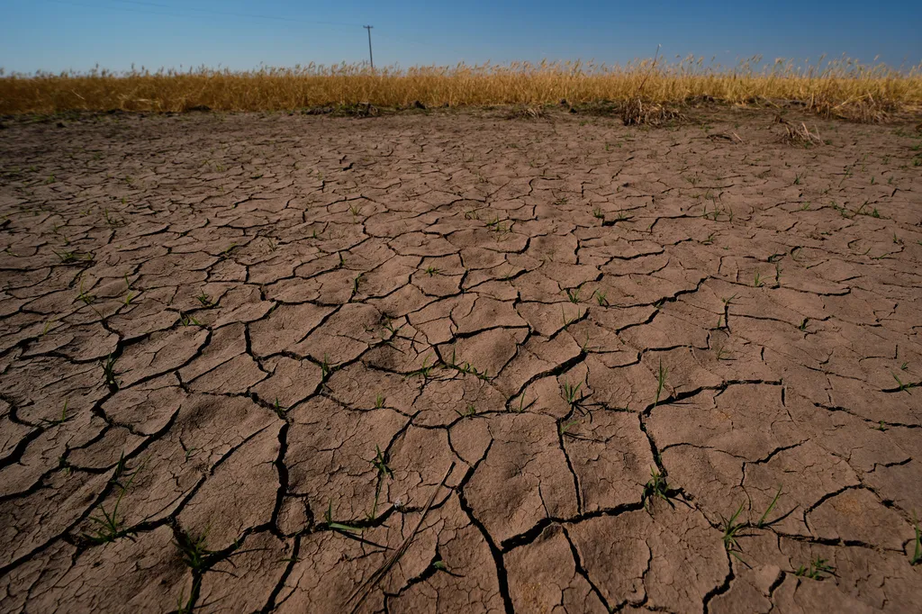 El Nino chính thức xuất hiện, ảnh hưởng khác nhau tại từng khu vực - Ảnh 1.