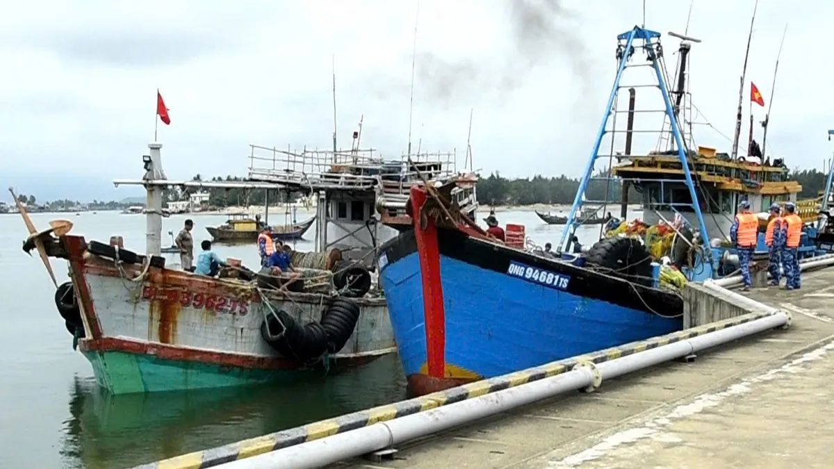 Vùng Cảnh sát biển 2 tạm giữ 3 tàu cá nghi vi phạm IUU- Ảnh 2. Vùng Cảnh sát biển 2 tạm giữ 3 tàu cá nghi vi phạm IUU- Ảnh 2.