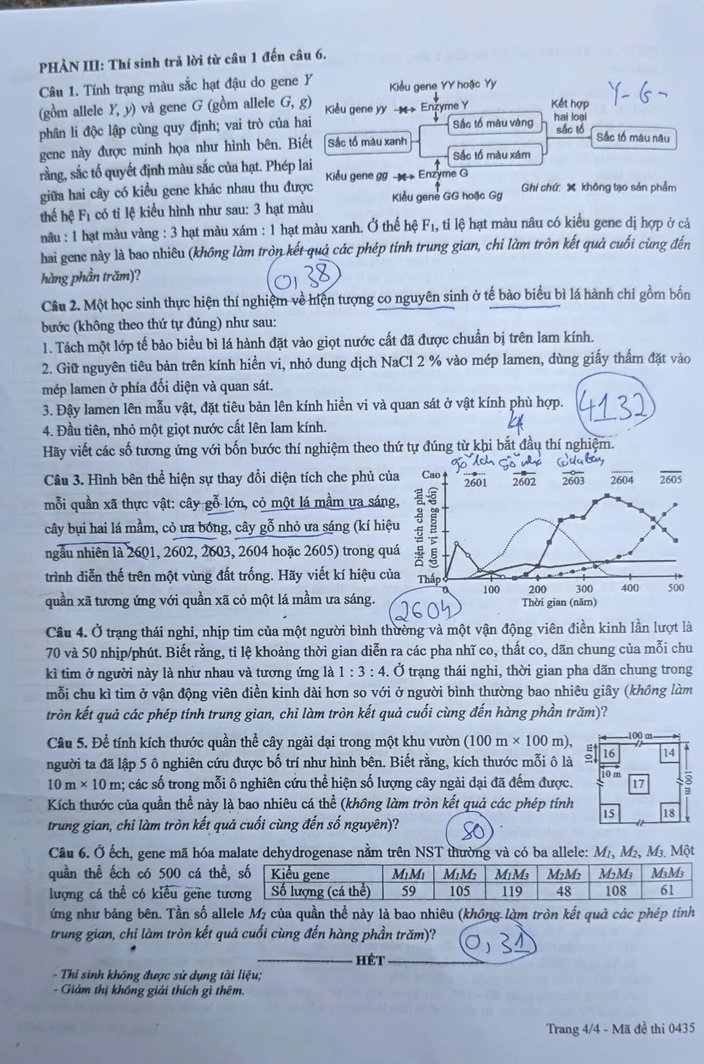 Đề thi tổng hợp c&aacute;c m&ocirc;n tự chọn tốt nghiệp THPT 2026 - Ảnh 12.