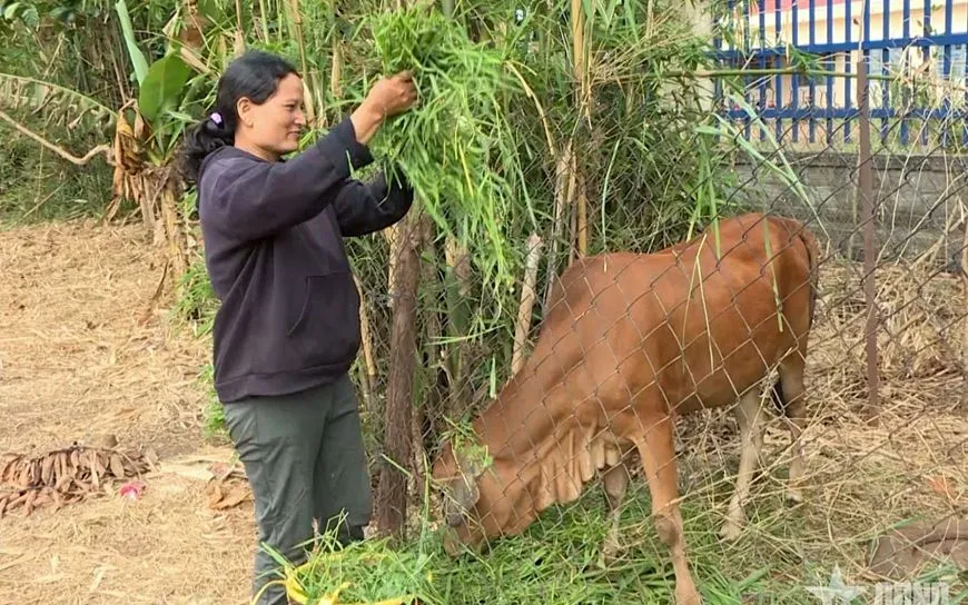 Nguồn vốn chính sách - “điểm tựa” của đồng bào dân tộc thiểu số
- Ảnh 1. Nguồn vốn chính sách - “điểm tựa” của đồng bào dân tộc thiểu số
- Ảnh 1.
