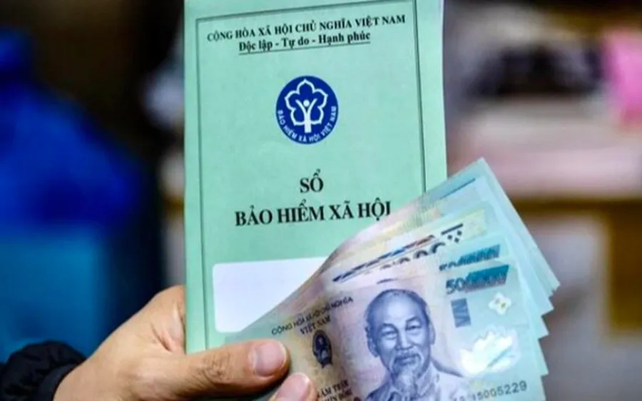 Người Việt Nam ở nước ngoài được tham gia BHXH tự nguyện - Ảnh 1.
