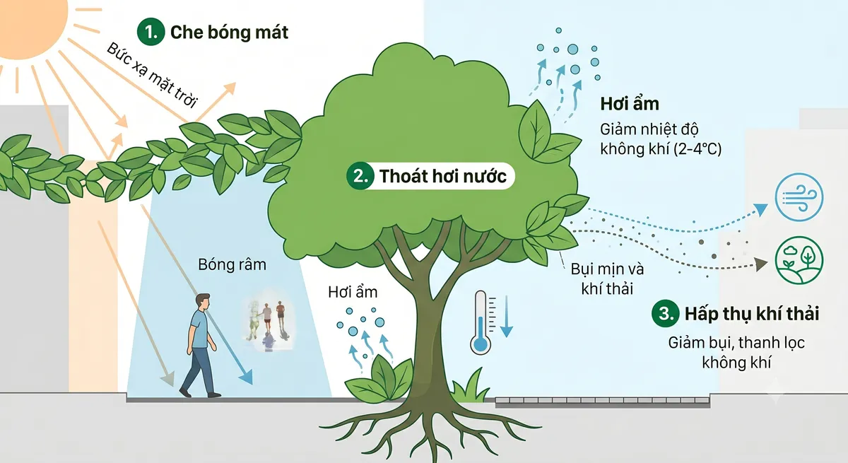 Đ&ocirc; thị m&ugrave;a nắng n&oacute;ng: Khi những &ldquo;mảng xanh&rdquo; trở th&agrave;nh chiếc điều h&ograve;a v&ocirc; gi&aacute;- Ảnh 3.
