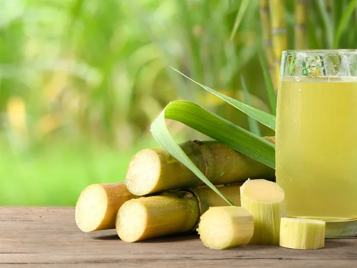 Điều gì xảy ra với cơ thể nếu uống nước mía mỗi ngày?- Ảnh 1. Điều gì xảy ra với cơ thể nếu uống nước mía mỗi ngày?- Ảnh 1.