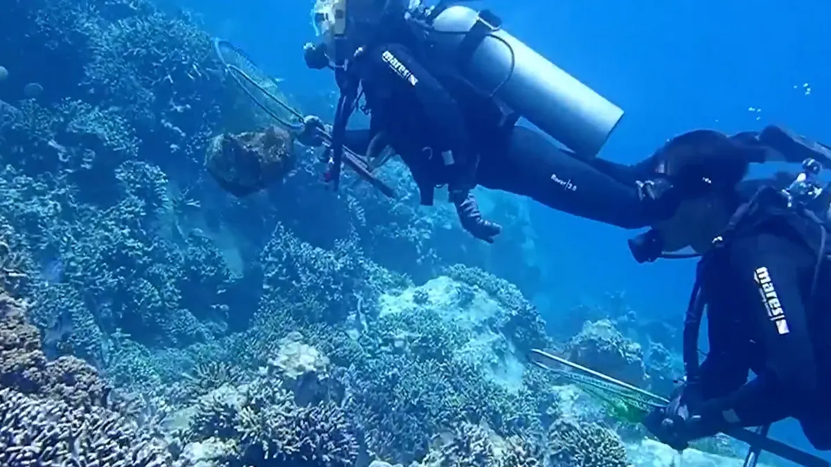 Áp lực bảo tồn san hô vịnh Nha Trang mùa du lịch hè- Ảnh 6. Áp lực bảo tồn san hô vịnh Nha Trang mùa du lịch hè- Ảnh 6.