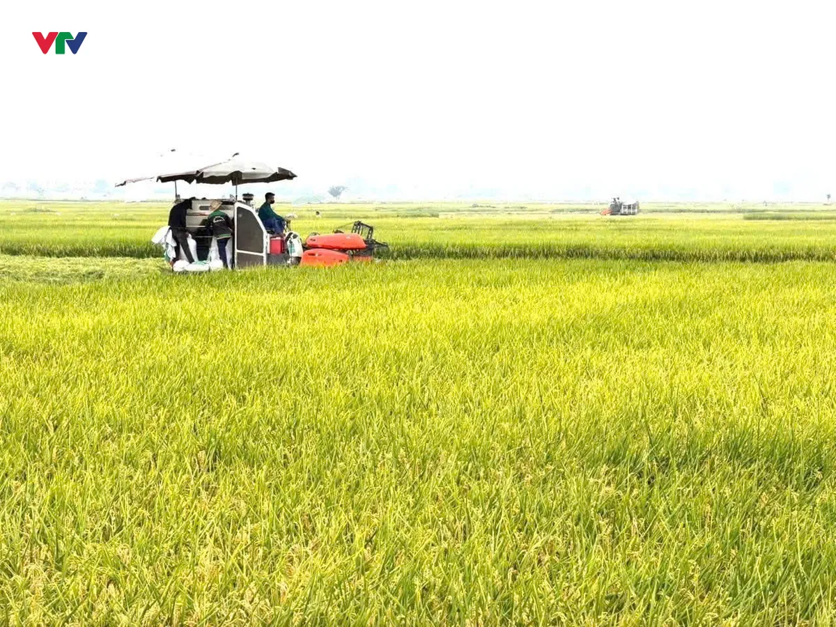 X&atilde; Bản Nguy&ecirc;n (Ph&uacute; Thọ): Sẵn s&agrave;ng tăng tốc sau một năm hoạt động ch&iacute;nh quyền 2 cấp - Ảnh 6.