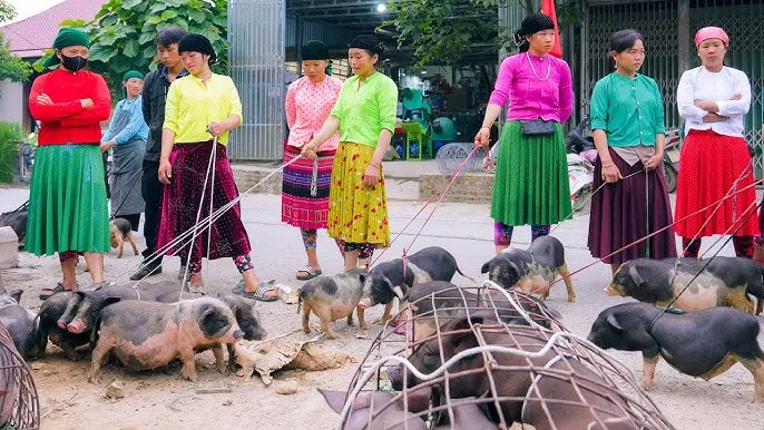 Khám phá chợ phiên vùng cao: Nét vẽ đặc sắc trong bức tranh văn hóa đại ngàn- Ảnh 2. Khám phá chợ phiên vùng cao: Nét vẽ đặc sắc trong bức tranh văn hóa đại ngàn- Ảnh 2.