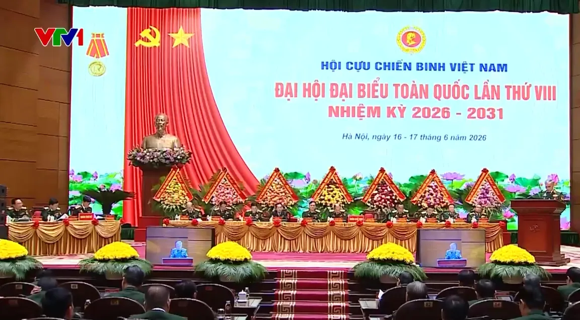 Kỳ vọng Hội Cựu chiến binh Việt Nam đổi mới mạnh mẽ phương thức hoạt động, ph&aacute;t huy bản chất Bộ đội cụ Hồ - Ảnh 1.