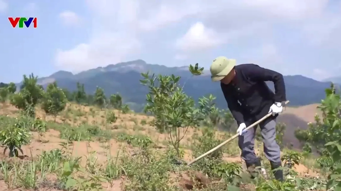 Gần 12 triệu ha đất thoái hóa cần được hồi sinh - Ảnh 1.