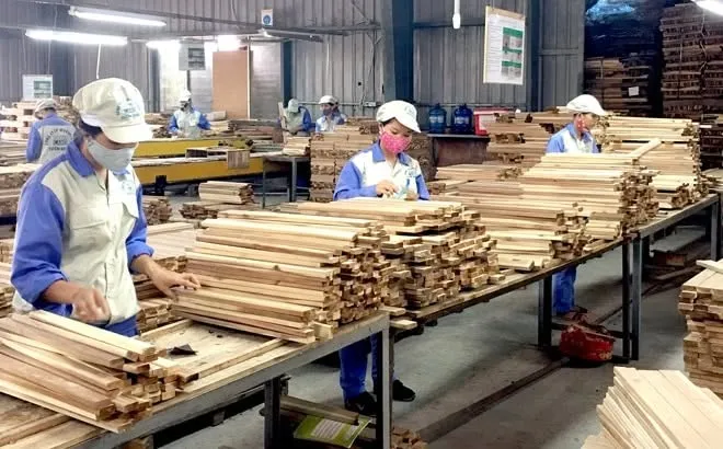 Xuất khẩu gỗ và sản phẩm gỗ thu hơn 7 tỷ USD, giữ nhịp tăng nhẹ- Ảnh 1. Xuất khẩu gỗ và sản phẩm gỗ thu hơn 7 tỷ USD, giữ nhịp tăng nhẹ- Ảnh 1.