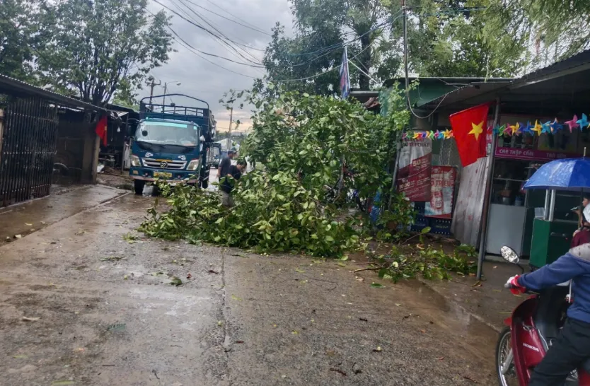 Lốc xoáy làm hơn 70 nhà dân ở Quảng Ngãi tốc mái - Ảnh 3.