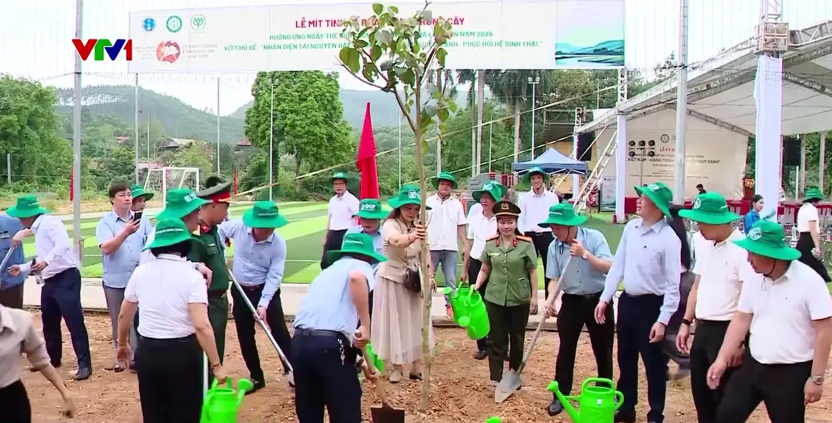 Giữ đất, chống xói mòn từ việc chuyển đổi cơ cấu cây rừng - Ảnh 1.