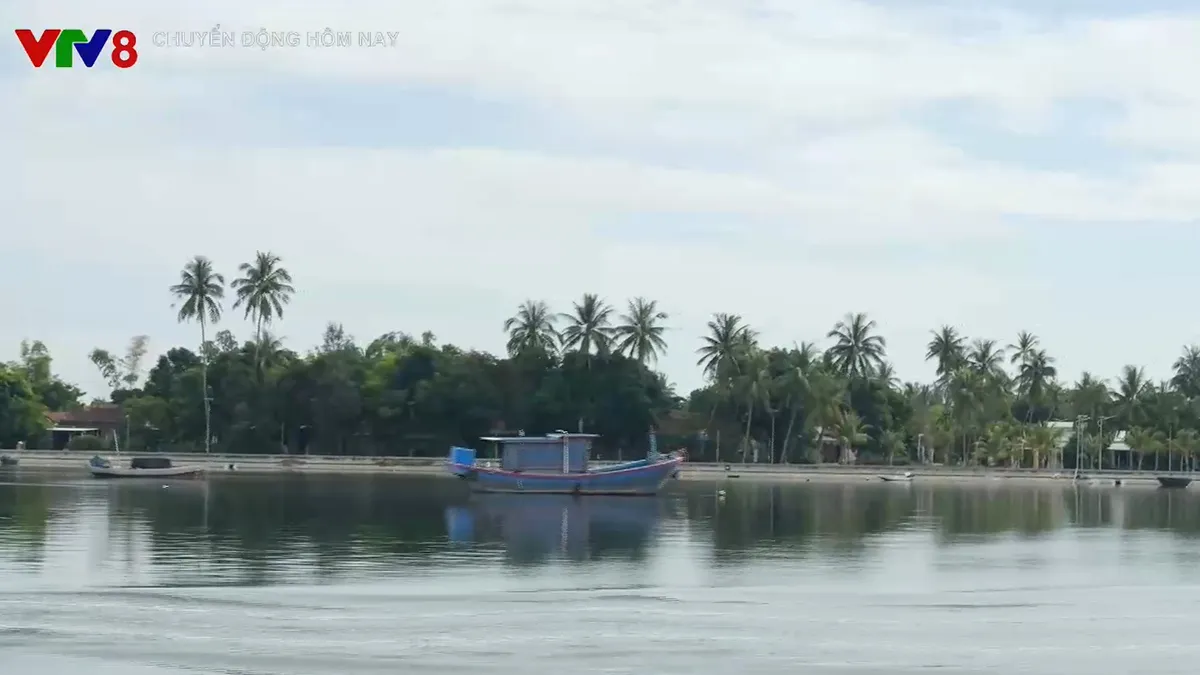 Phát triển xã đảo Tam Hải thành điểm sáng vùng kinh tế động lực phía Nam Đà Nẵng - Ảnh 2. Phát triển xã đảo Tam Hải thành điểm sáng vùng kinh tế động lực phía Nam Đà Nẵng - Ảnh 2.