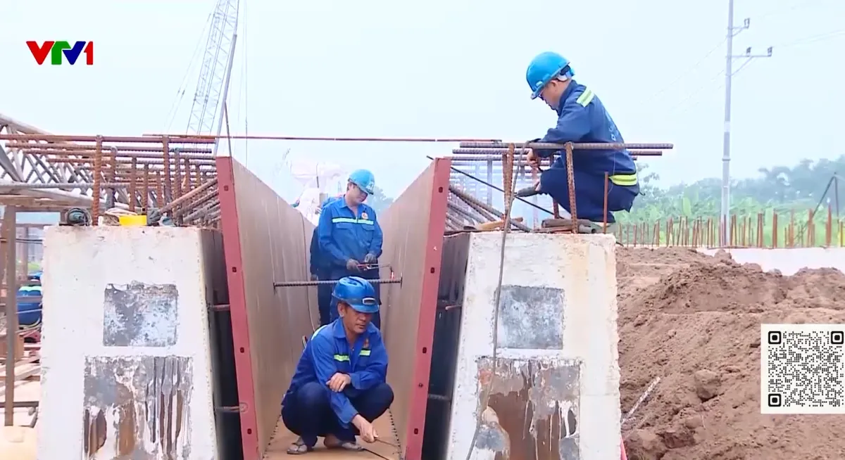 Nhiều công nhân, kỹ sư ở Nghệ An bị nợ lương, nợ bảo hiểm kéo dài - Ảnh 2.