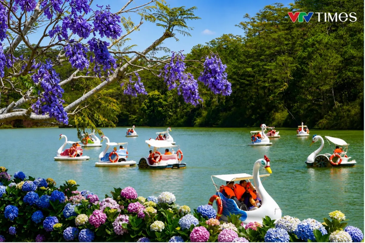 Festival Hoa Đ&agrave; Lạt 2026 hứa hẹn thu h&uacute;t du kh&aacute;ch với chuỗi sự kiện đặc sắc- Ảnh 4.