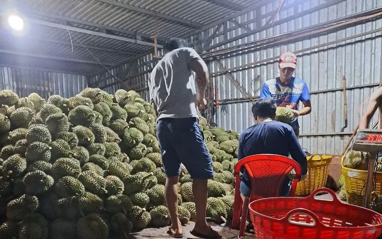 Ảnh minh họa. Ảnh: VGP