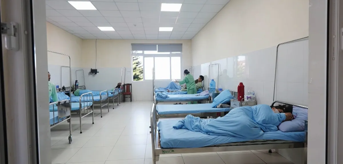 Mối nguy từ ăn nấm rừng- Ảnh 1.