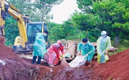 Tiêu hủy đàn lợn nhiễm dịch tả lợn châu Phi tại phường Đông Gia Nghĩa, Lâm Đồng.